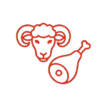 Icona categoria Ovino